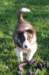 fairskyday442_small.jpg