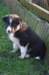 fairskyday443_small.jpg