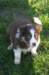 fairskyday444_small.jpg