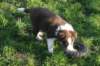 fairskyday44_small.jpg