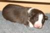 fairskyday8_small.jpg