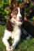 sky11monthsold4_small.jpg