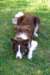 sky11monthsold5_small.jpg