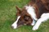 sky11monthsold_small.jpg