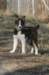 sky35monthsold_small.jpg