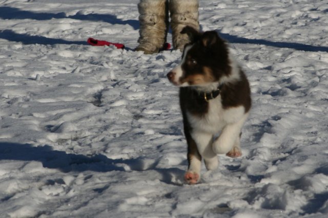 sky3monthsold.jpg