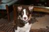 sky3monthsold4_small.jpg