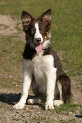 sky5monthsold.jpg