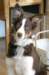 sky5monthsold2_small.jpg