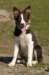 sky5monthsold_small.jpg