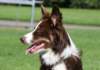 sky9monthsold2_small.jpg