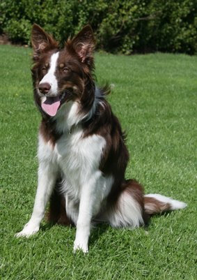 sky9monthsold3.jpg