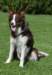 sky9monthsold3_small.jpg