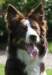 sky9monthsold4_small.jpg