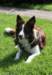 sky9monthsold5_small.jpg