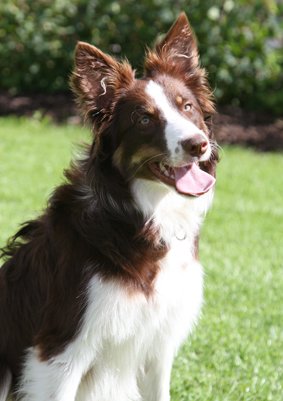 sky9monthsold7.jpg