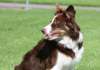 sky9monthsold_small.jpg