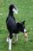 caya115monthsold2_small.jpg
