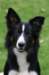 caya115monthsold5_small.jpg