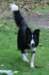 caya115monthsold_small.jpg