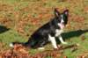 caya1yearsold3_small.jpg
