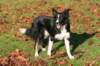 caya1yearsold4_small.jpg