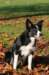 caya1yearsold5_small.jpg