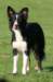 caya1yearsold7_small.jpg