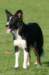 caya1yearsold8_small.jpg