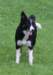 caya8monthsold10_small.jpg