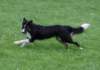 caya8monthsold11_small.jpg