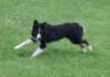 caya8monthsold12_small.jpg