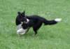 caya8monthsold13_small.jpg