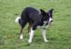 caya8monthsold14_small.jpg