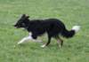caya8monthsold15_small.jpg