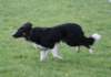 caya8monthsold16_small.jpg