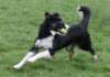 caya8monthsold17_small.jpg