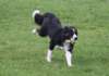 caya8monthsold18_small.jpg