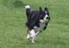 caya8monthsold19_small.jpg