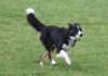 caya8monthsold20_small.jpg