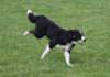 caya8monthsold21_small.jpg