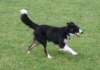 caya8monthsold22_small.jpg