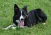 caya8monthsold25_small.jpg