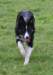 caya8monthsold26_small.jpg