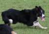 caya8monthsold27_small.jpg