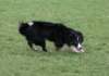 caya8monthsold29_small.jpg