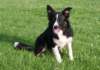 caya8monthsold2_small.jpg