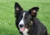 caya8monthsold3_small.jpg