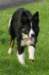 caya8monthsold4_small.jpg