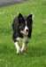 caya8monthsold5_small.jpg